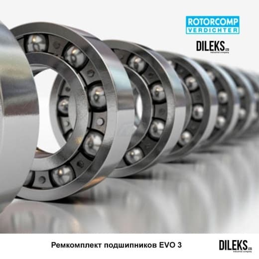Ремкомплект подшипников ROTORCOMP EVO3 (162133)
