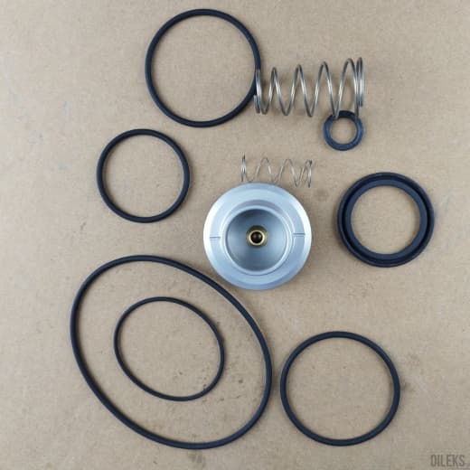 Ремкомплект впускного клапана SCK 15